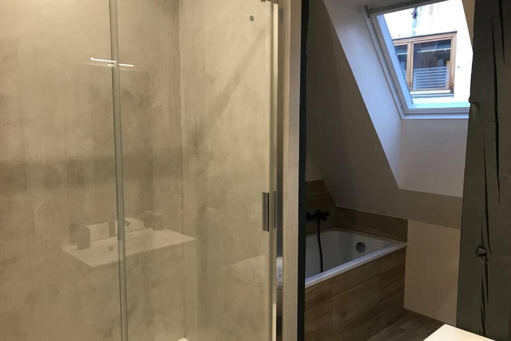 -bm Gretel-modern Duplex With Cathedral View Appartement Colmar